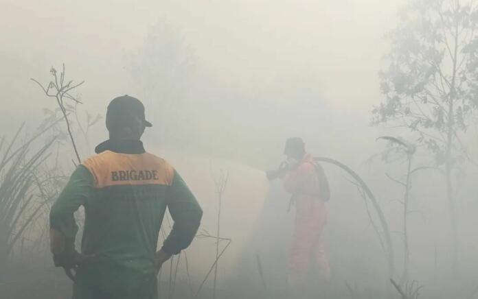 Kebakaran Hutan dan Lahan di Mempawah