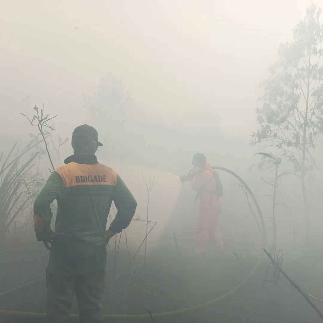 Kebakaran Hutan dan Lahan di Mempawah